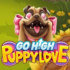 game logo by RubyPlay on insta-spins.co.nl